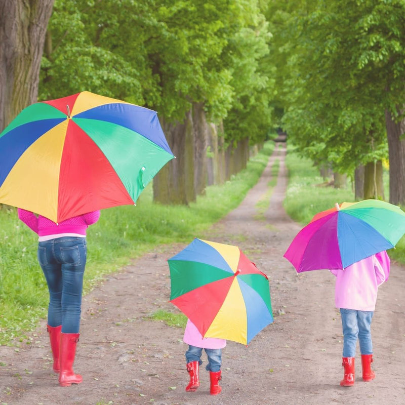 Top 10 food for Women